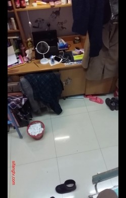预览图11
