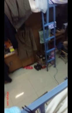 预览图12