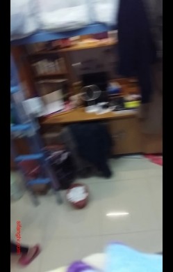 预览图15