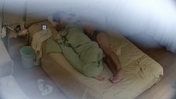 预览图4