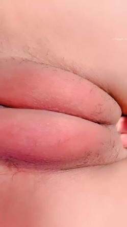 预览图6