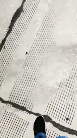 预览图16