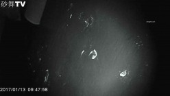 预览图6