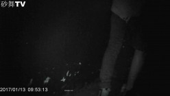 预览图15