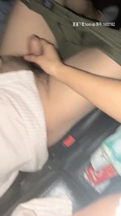 预览图7