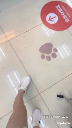 预览图14