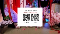 预览图14