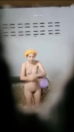 预览图9