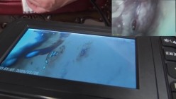 预览图14