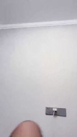 预览图4