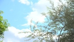 预览图11