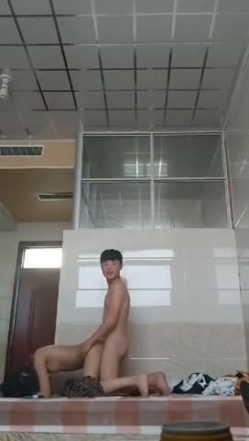 预览图4