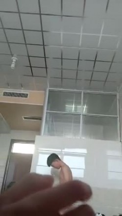 预览图8