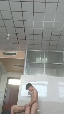 预览图15