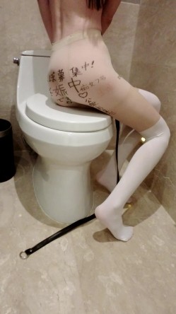 预览图9