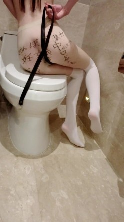 预览图12
