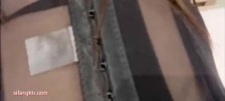 预览图7