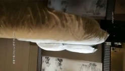 预览图4