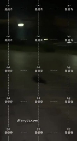 预览图15