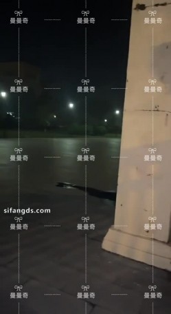 预览图16