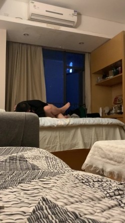 预览图3