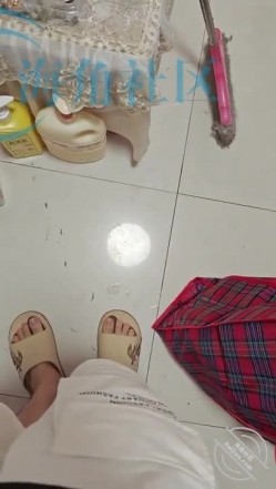 预览图5