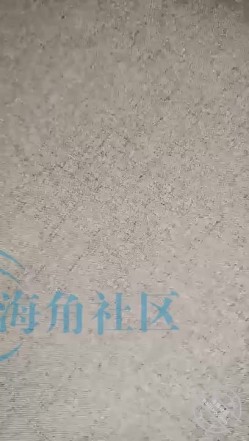预览图8