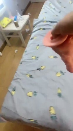预览图6