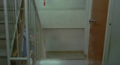预览图4