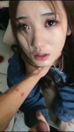 预览图11