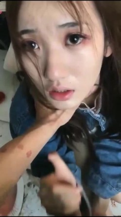 预览图12
