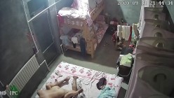 预览图3