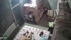 预览图4
