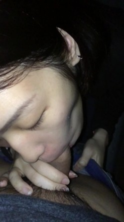 预览图4