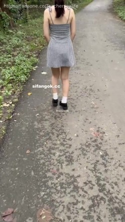 预览图4