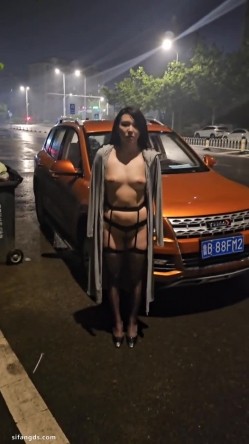 预览图13