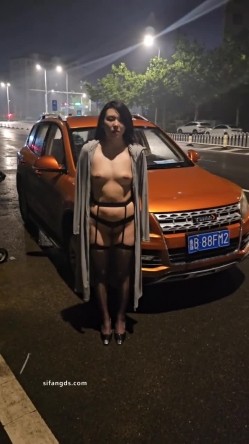 预览图14