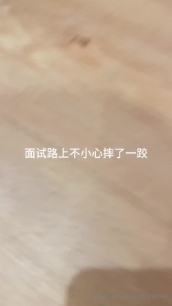 预览图1