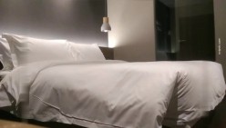 预览图4