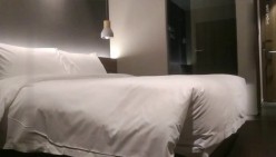 预览图5