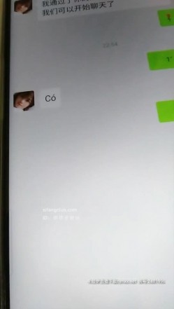 预览图11