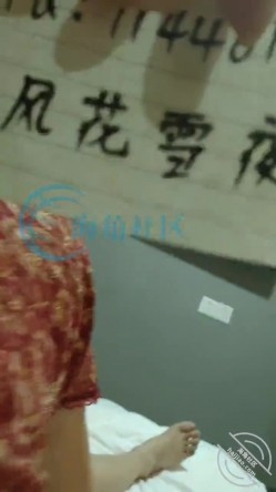 预览图1