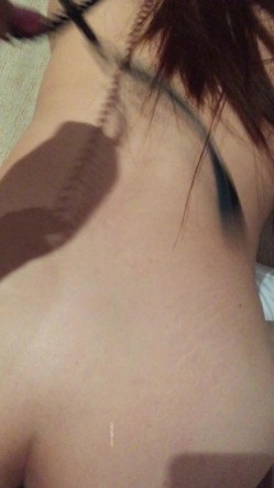 预览图6