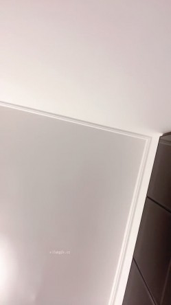 预览图8