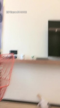 预览图2