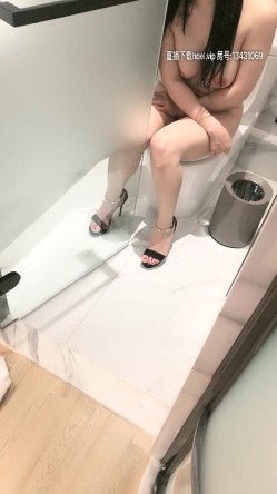预览图8
