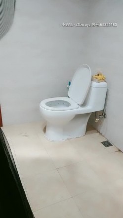 预览图8