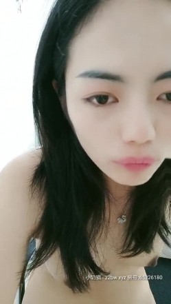 预览图14