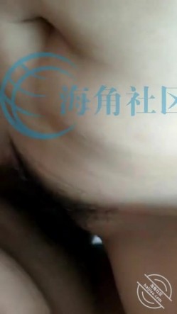 预览图11