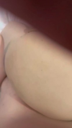 预览图15